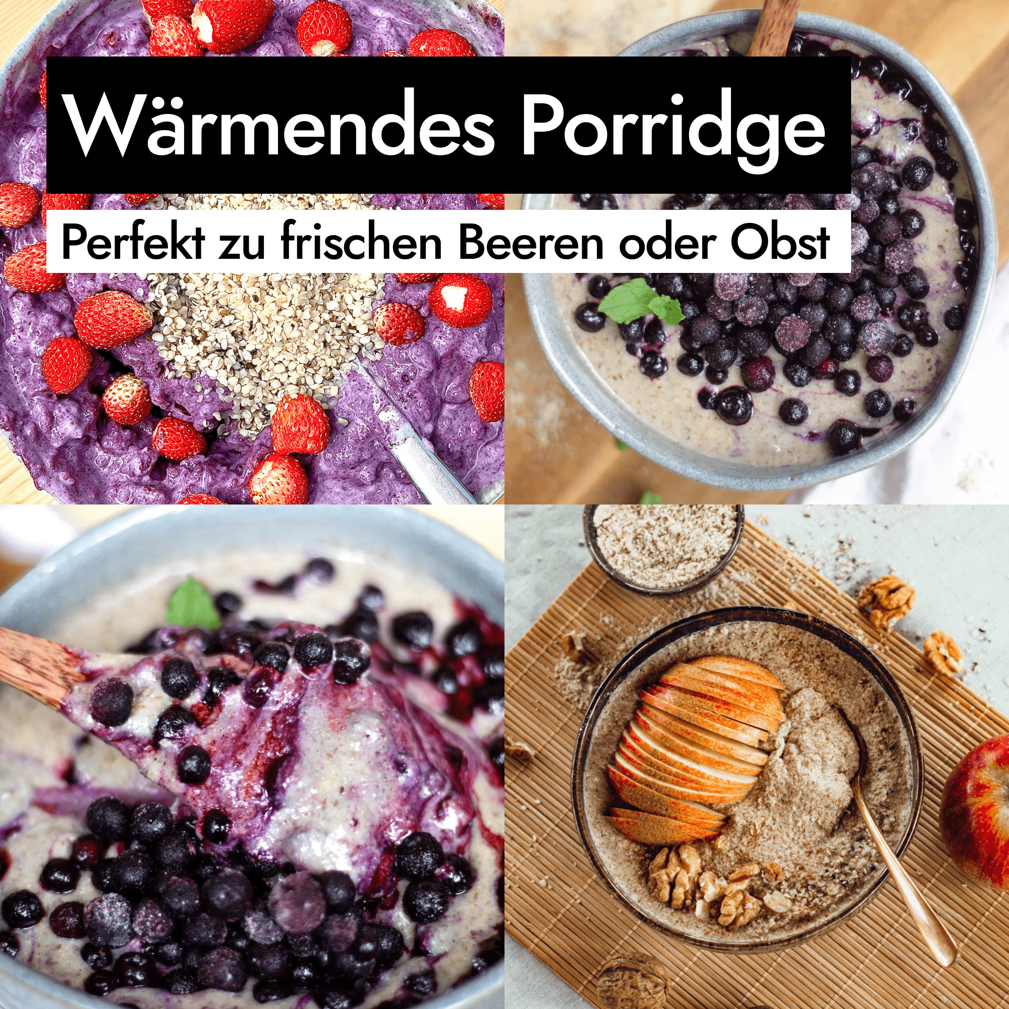 AHO Sprossen Porridge Raw Vegan Granola AHO.BIO GmbH