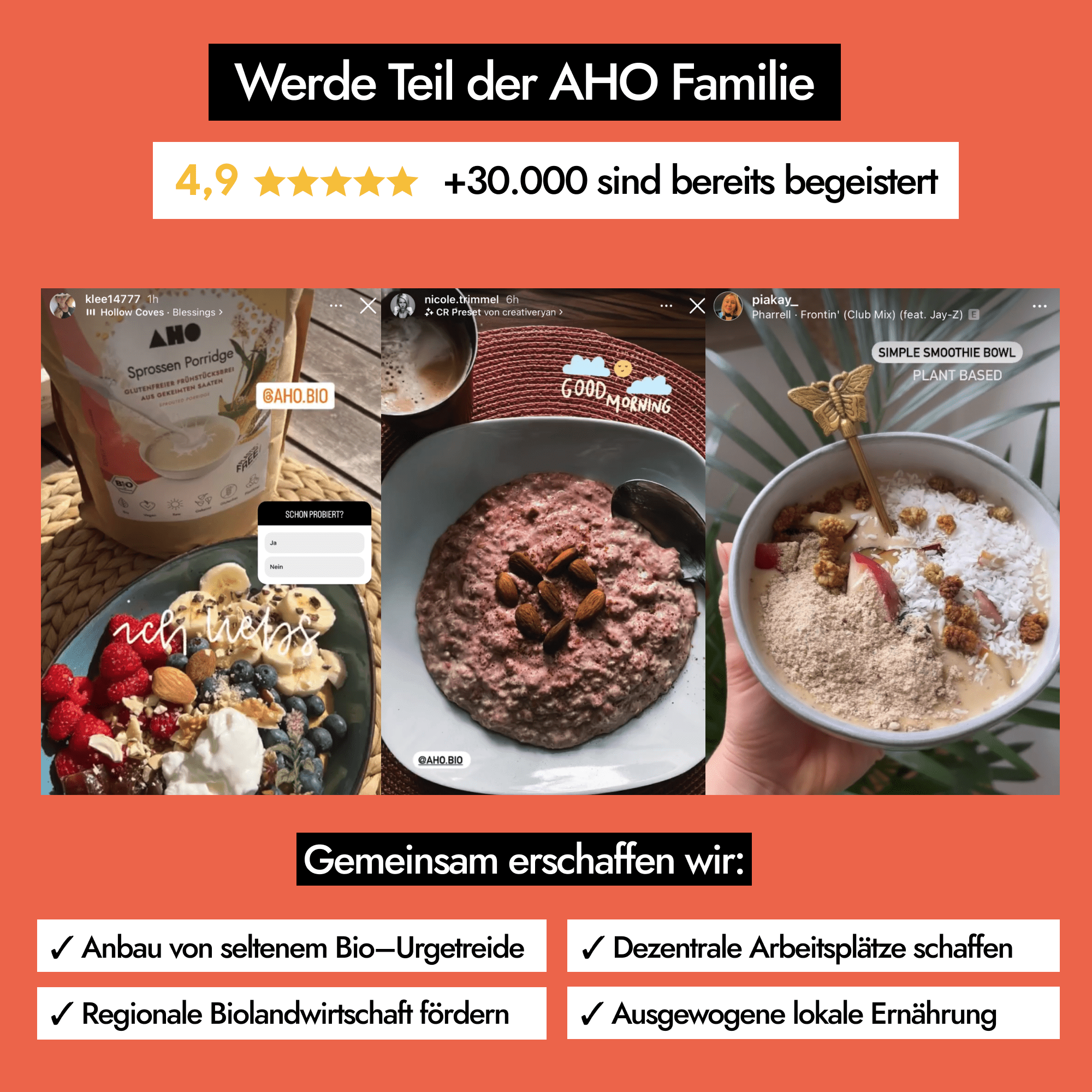 AHO Sprossen Porridge Raw Vegan Granola AHO.BIO GmbH
