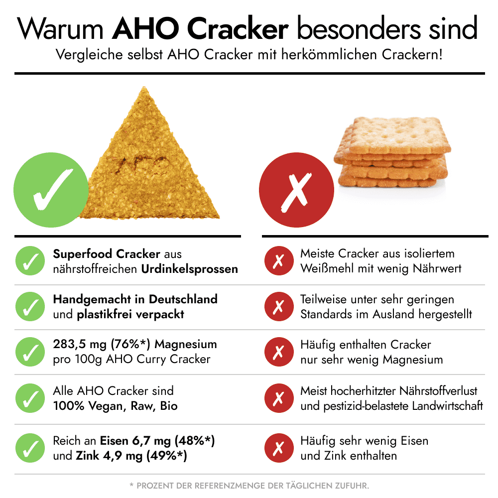 AHO Curry Cracker Raw Vegan Cracker AHO.BIO GmbH