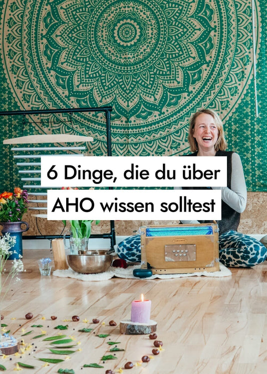 6 Dinge, die du über AHO wissen solltest (Frühling 2026)