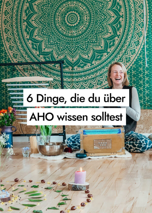 6 Dinge, die du über AHO wissen solltest (Frühling 2026)