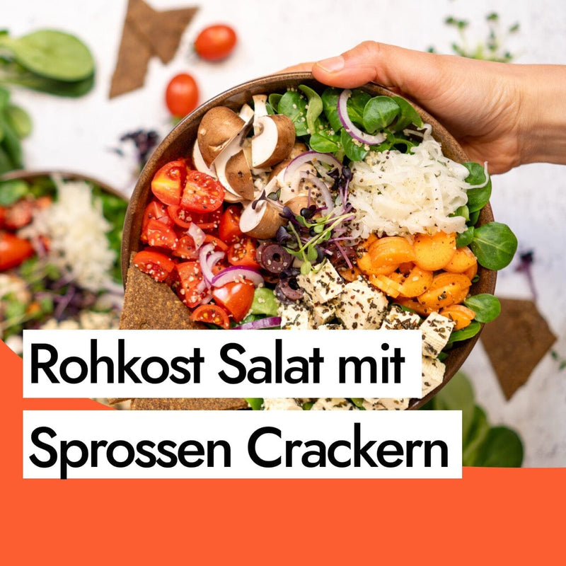 Vegane Salatbowl mit fermentiertem Tofu, Sauerkraut und Sprossen Crackern