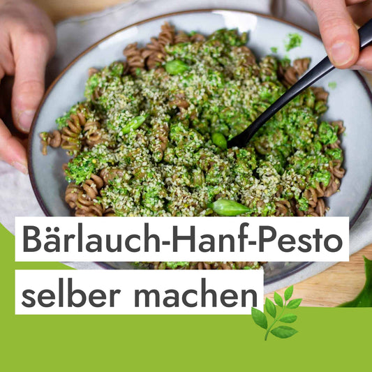 Bärlauch-Hanf-Pesto: veganes Rezept