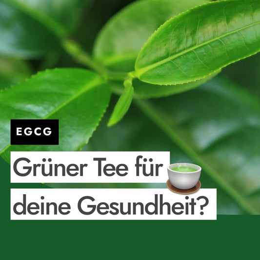 Wie EGCG in grünem Tee auf deine Gesundheit wirkt