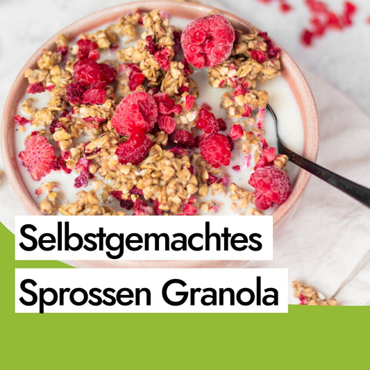 Selbstgemachtes Granola mit Himbeeren, gekeimten Haferflocken und Buchweizen