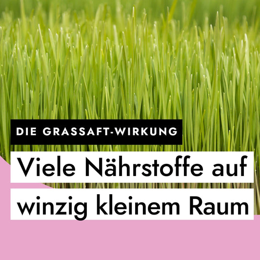 Die Grassaft-Wirkung: ein Traum - viele Nährstoffe auf winzig kleinem Raum