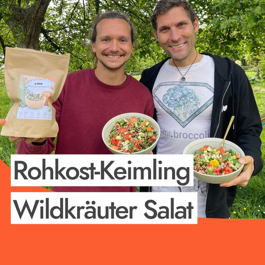 Rohkost-Keimling-Wildkräuter Salat – mr.broccoli zu Gast bei AHO