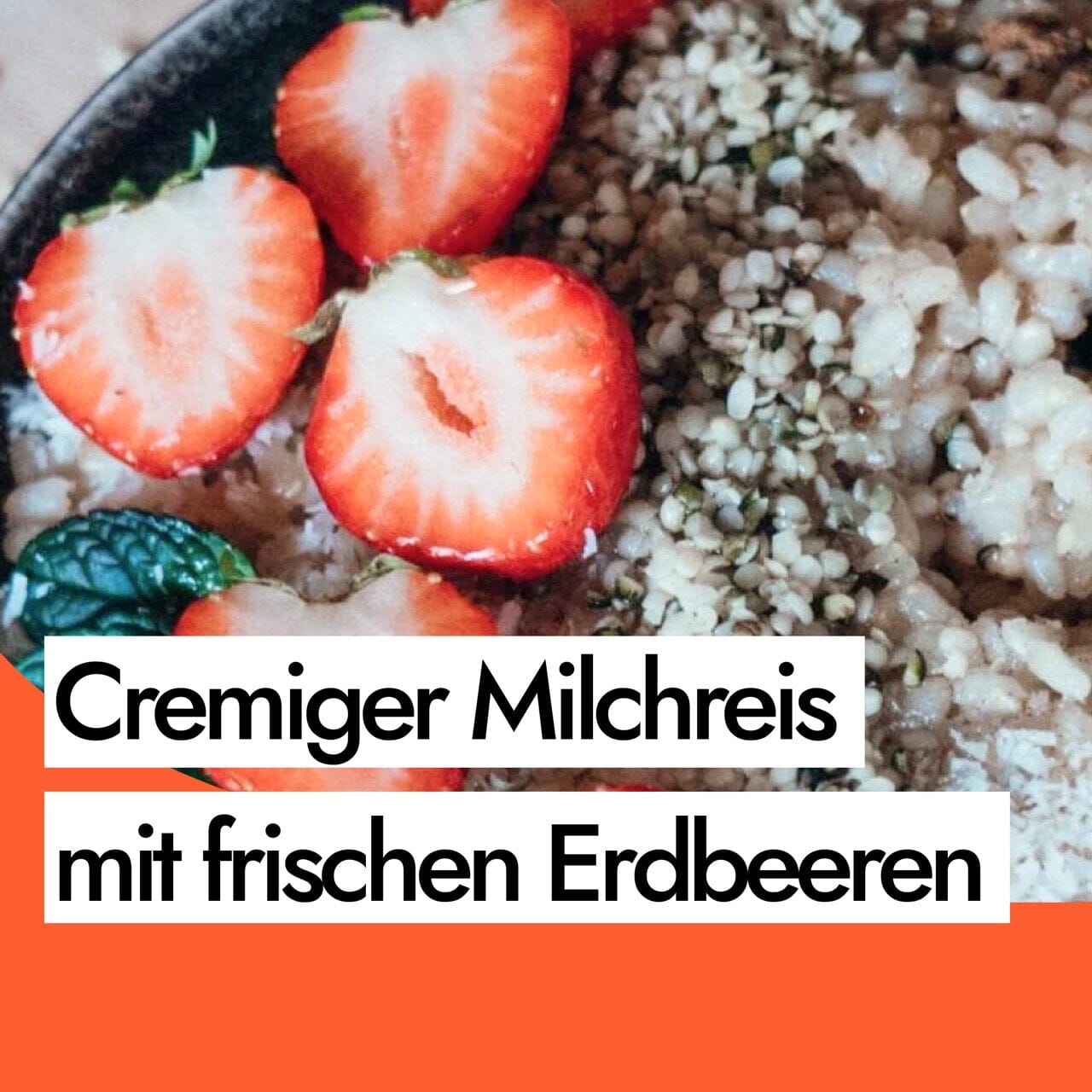 Sprossen Milchreis selber machen mit frischen Erdbeeren