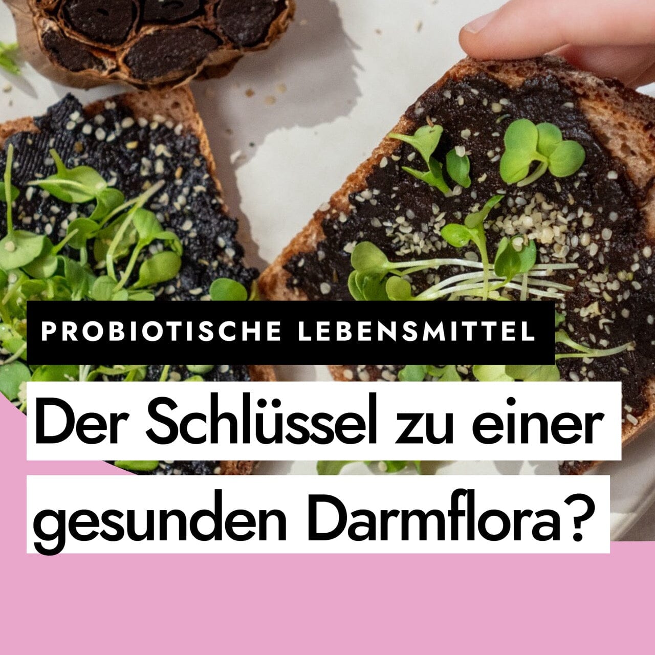 Probiotische Lebensmittel – Der Schlüssel zu einer gesunden Darmflora?