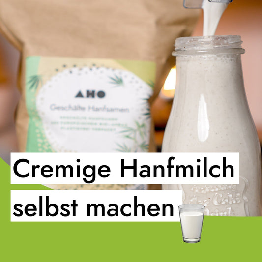 Cremige Hanfmilch in Rohkostqualität selber machen