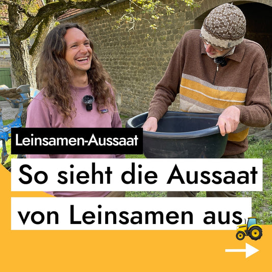 So sieht die Aussaat von Leinsamen aus