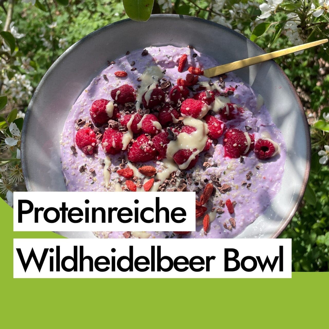 Proteinreiche Wildheidelbeer Frühstücks Bowl mit gekeimten Haferflocken