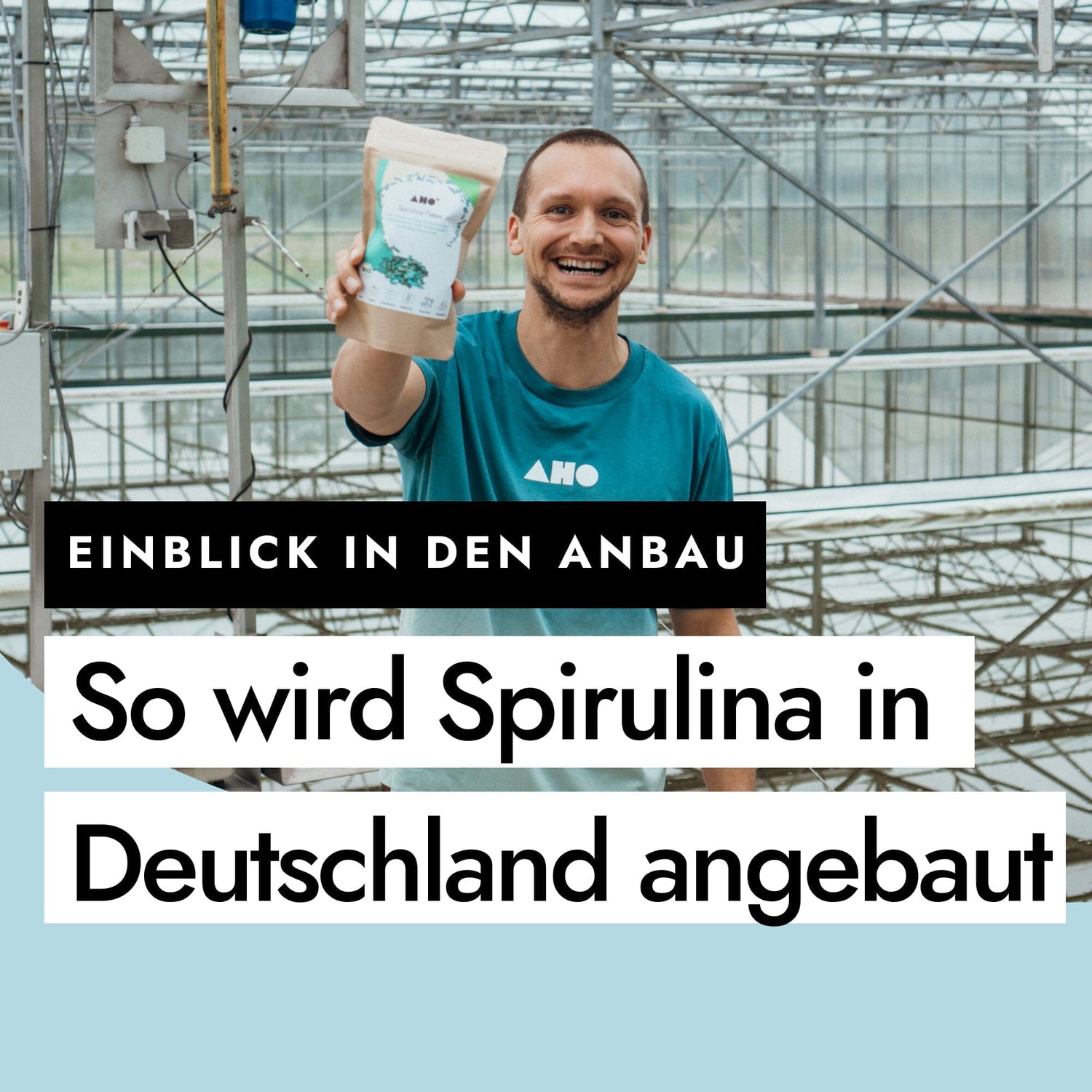 So wird Bio-Spirulina in Deutschland angebaut
