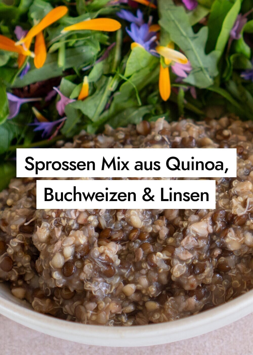 Meal Prep Mix aus gekeimtem Buchweizen, Quinoa und Linsen