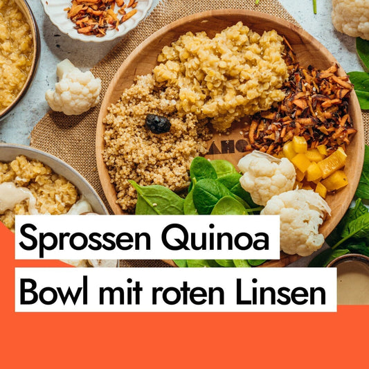 Rezept für eine Sprossen Quinoa Bowl – vollwertig, bunt & vegan