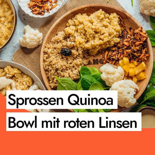 Rezept für eine Sprossen Quinoa Bowl – vollwertig, bunt & vegan
