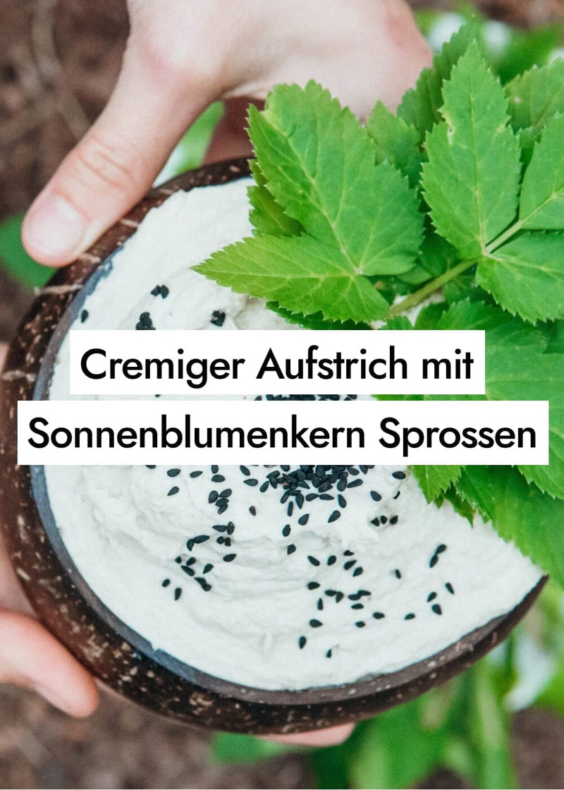 Einfaches Dip-Rezept mit eingeweichten Sonnenblumenkernen