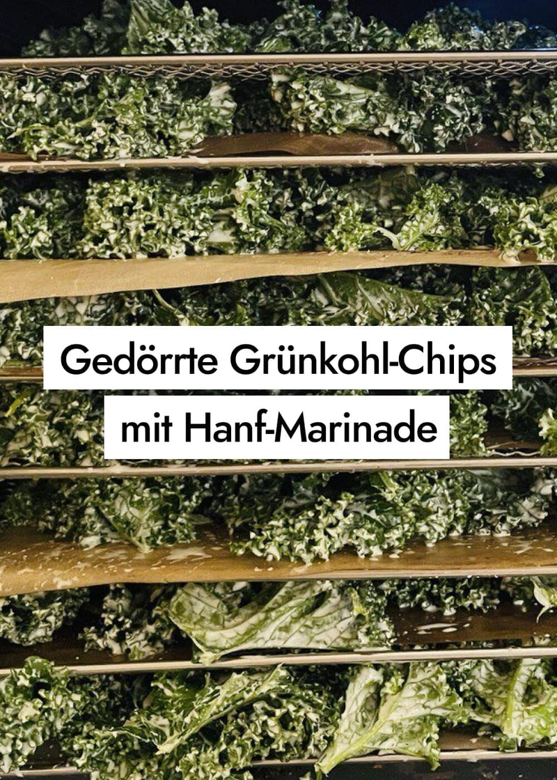 Gedörrte Hanf Grünkohl Chips selber machen