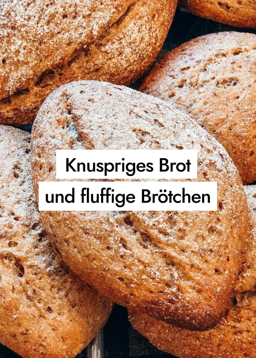 Knuspriges Dinkel-Vollkornbrot und fluffige Brötchen aus Sprossen Mehl