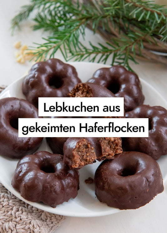 Vegane Lebkuchen aus gekeimten Haferflocken mit Datteln gesüßt