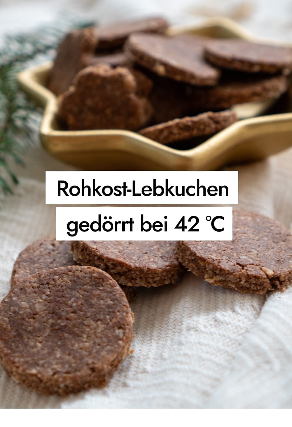 Rohkost-Lebkuchen: Rezept für gekeimte und gedörrte Plätzchen