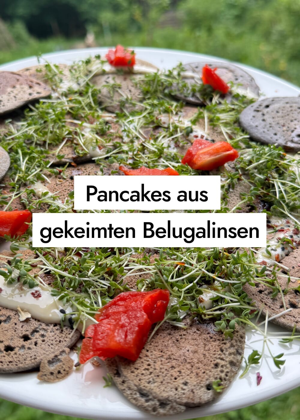 Glutenfreie proteinreiche Pancakes aus gekeimten Belugalinsen