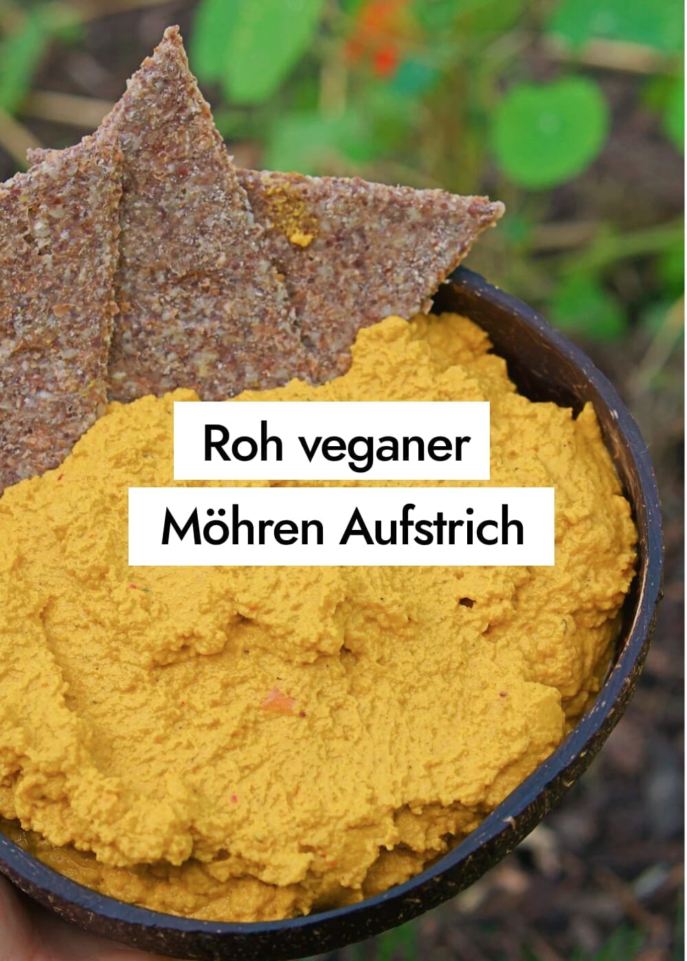 Raw Carrot Dip in 3 Minuten