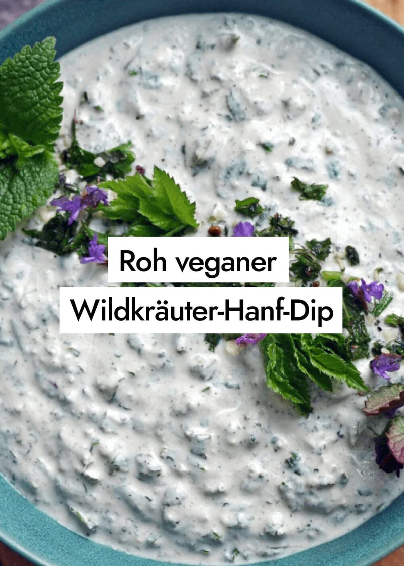 Rezept für roh veganen Wildkräuter-Hanf-Dip 