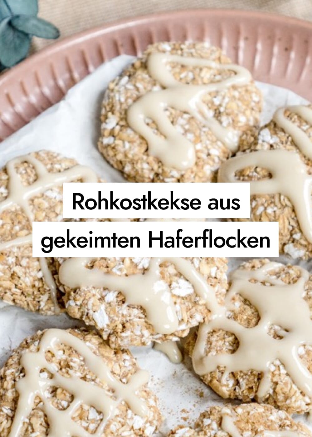 Gedörrte gekeimte Haferflocken Kekse in Rohkostqualität