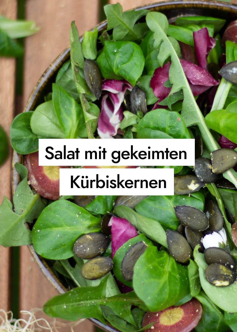 Wildkräuter-Feldsalat mit gekeimten Kürbiskernen