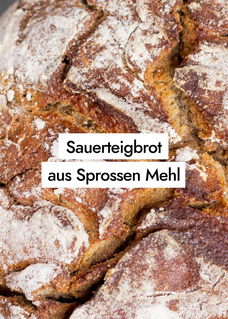 Gekeimtes Sauerteigbrot unkompliziert?! So gelingt dir dein selbstgemachtes fermentiertes Brot.