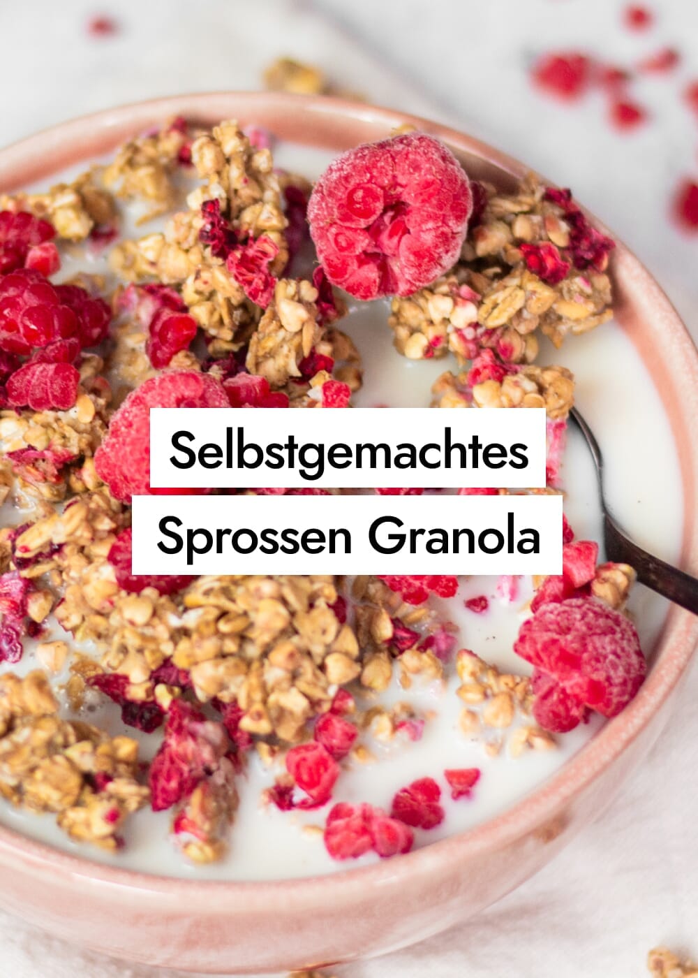 Selbstgemachtes Granola mit Himbeeren, gekeimten Haferflocken und Buchweizen