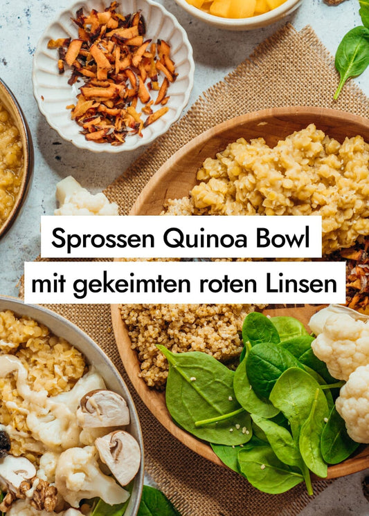 Rezept für eine Sprossen Quinoa Bowl – vollwertig, bunt & vegan