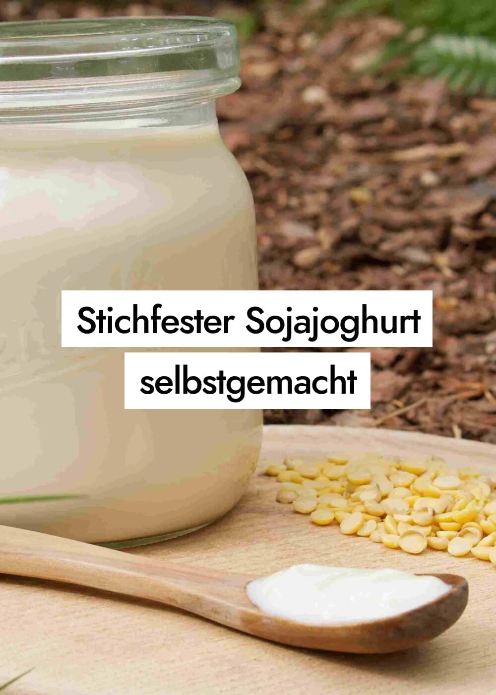 Stichfesten Sojajoghurt in einer Minute selber machen