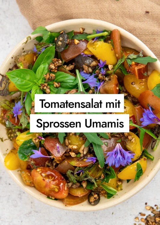Bunter Tomatensalat mit Sprossen Umamis aus gekeimten Saaten