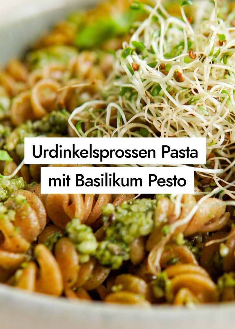 Blitzschnelle Urdinkelsprossen Pasta mit Basilikum-Hanf-Pesto in nur 3 Minuten