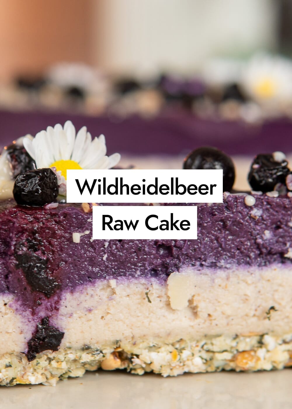 Wildheidelbeer Raw Cheesecake – Veganer Rohkost-Käsekuchen