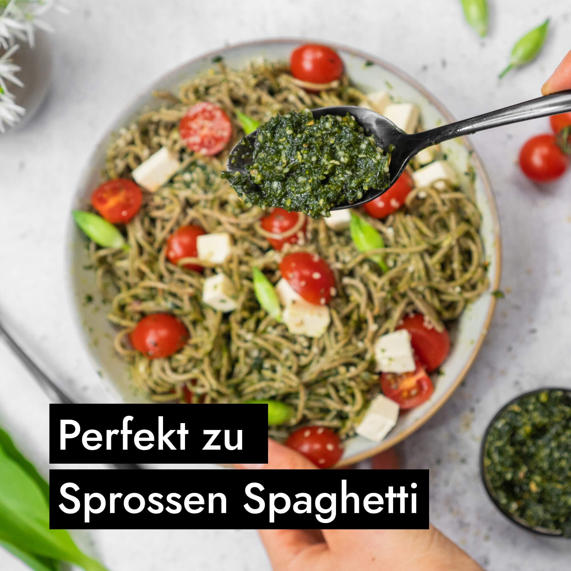 AHO Wildes Bärlauch Pesto Nüsse AHO.BIO GmbH 