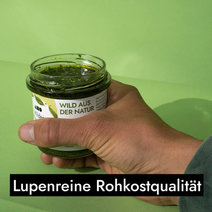 AHO Wildes Bärlauch Pesto Nüsse AHO.BIO GmbH 