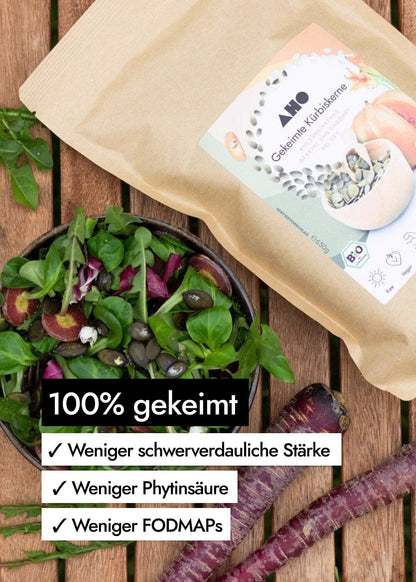 AHO Gekeimte Kürbiskerne Ölsaaten AHO.BIO GmbH 