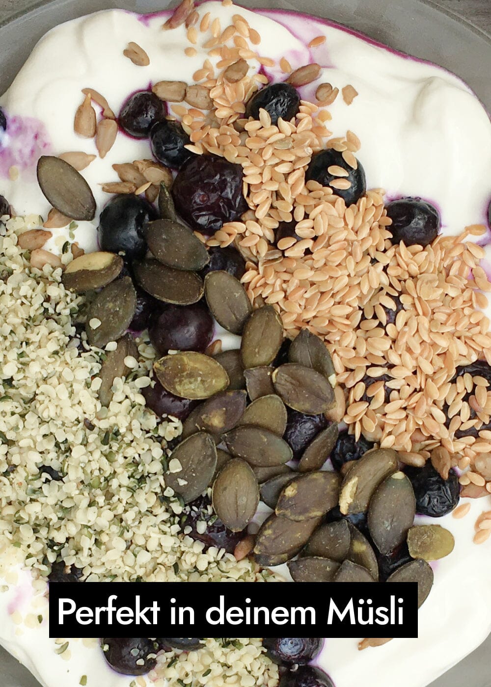 AHO Gekeimte Kürbiskerne Ölsaaten AHO.BIO GmbH 