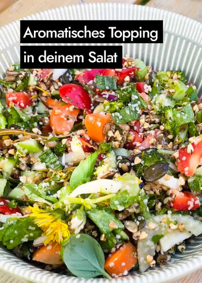 AHO Gekeimte Kürbiskerne Ölsaaten AHO.BIO GmbH 