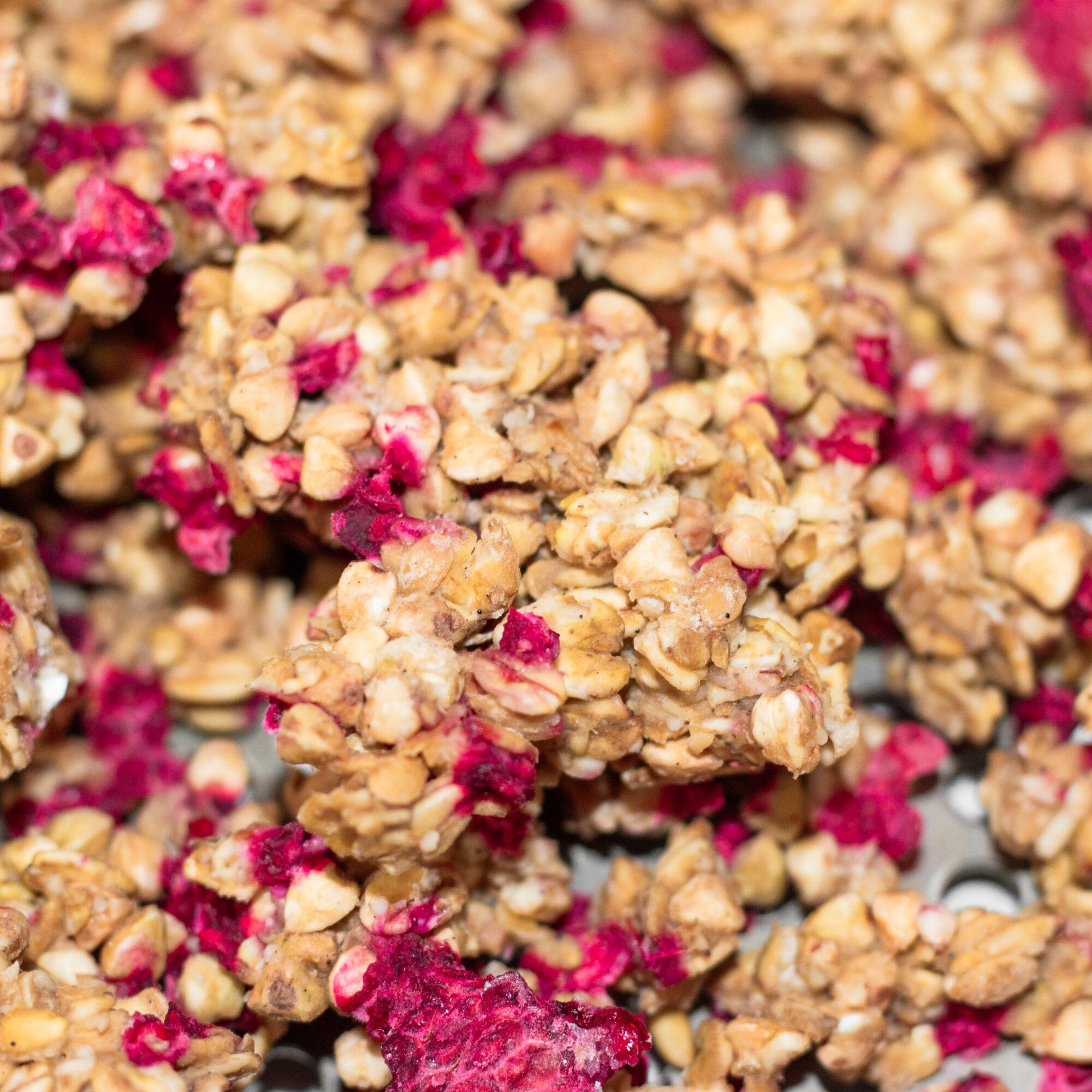 AHO Sprossen Granola Raw Vegan Granola AHO.BIO GmbH 