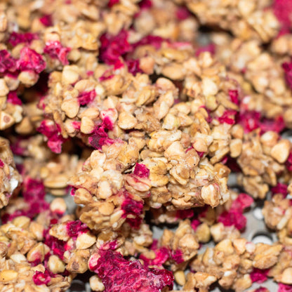 AHO Sprossen Granola Raw Vegan Granola AHO.BIO GmbH 