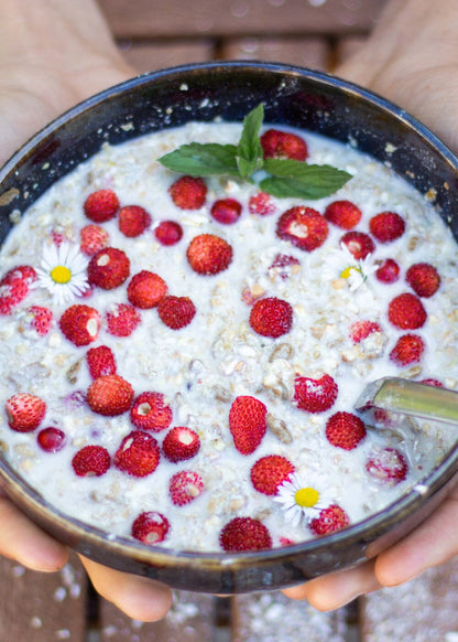 AHO Sprossen Müsli Getreide AHO.BIO GmbH 