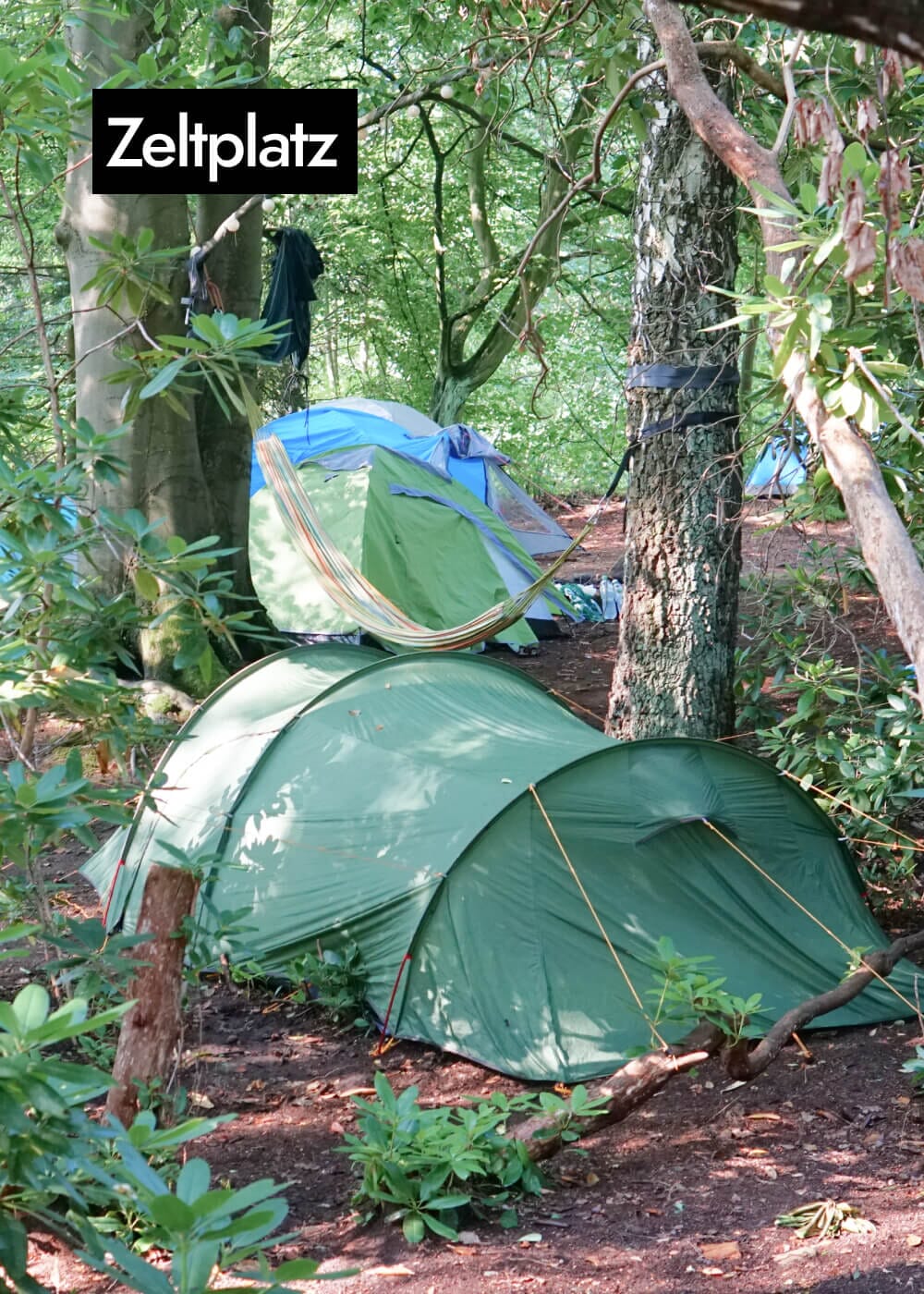 AHO Transformation Retreat Event Event 