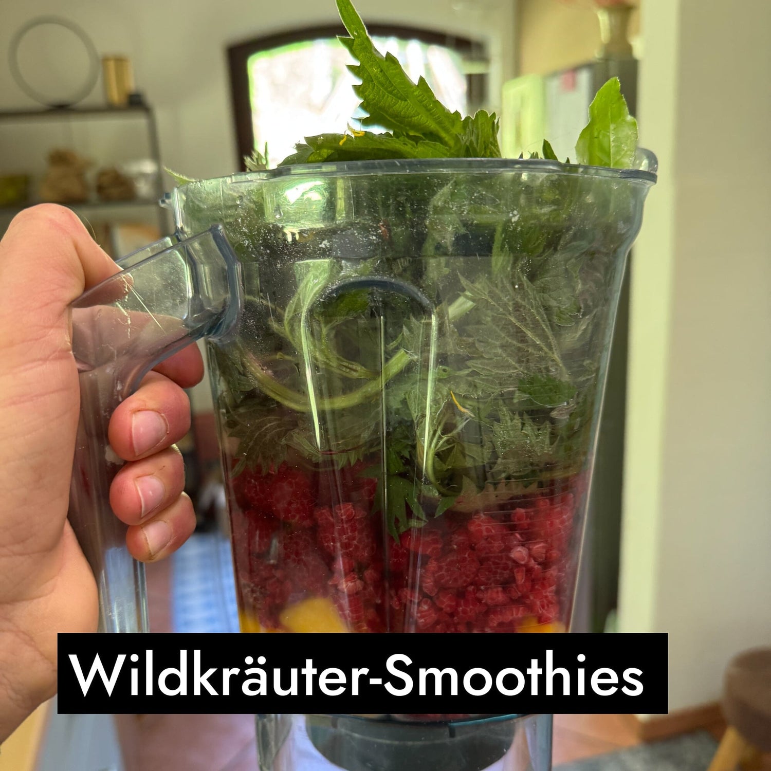 AHO Wildkräutersammlung Event Event 