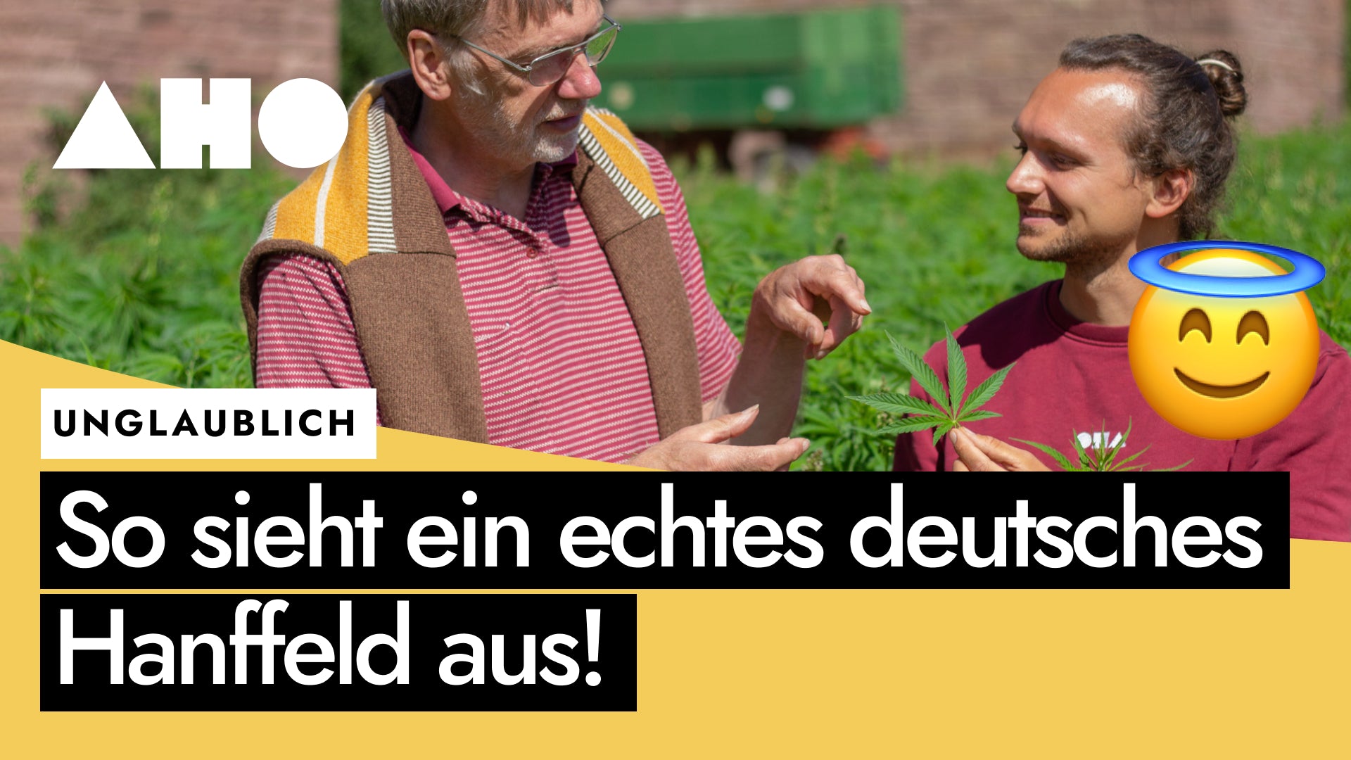 Laden Sie das Video: So sieht ein echtes deutsches Hanffeld aus - ein Besuch bei unserem Bauern