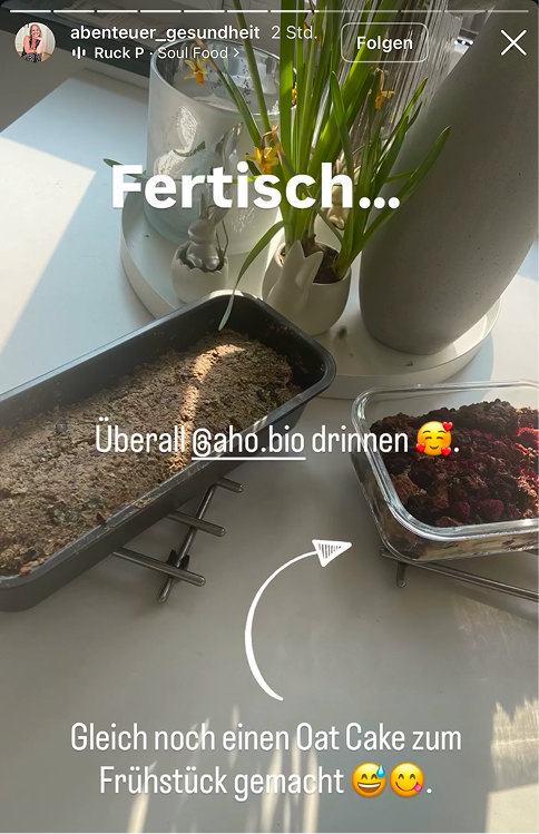 UGC AHO Brotbackmischung gebacken Fertisch