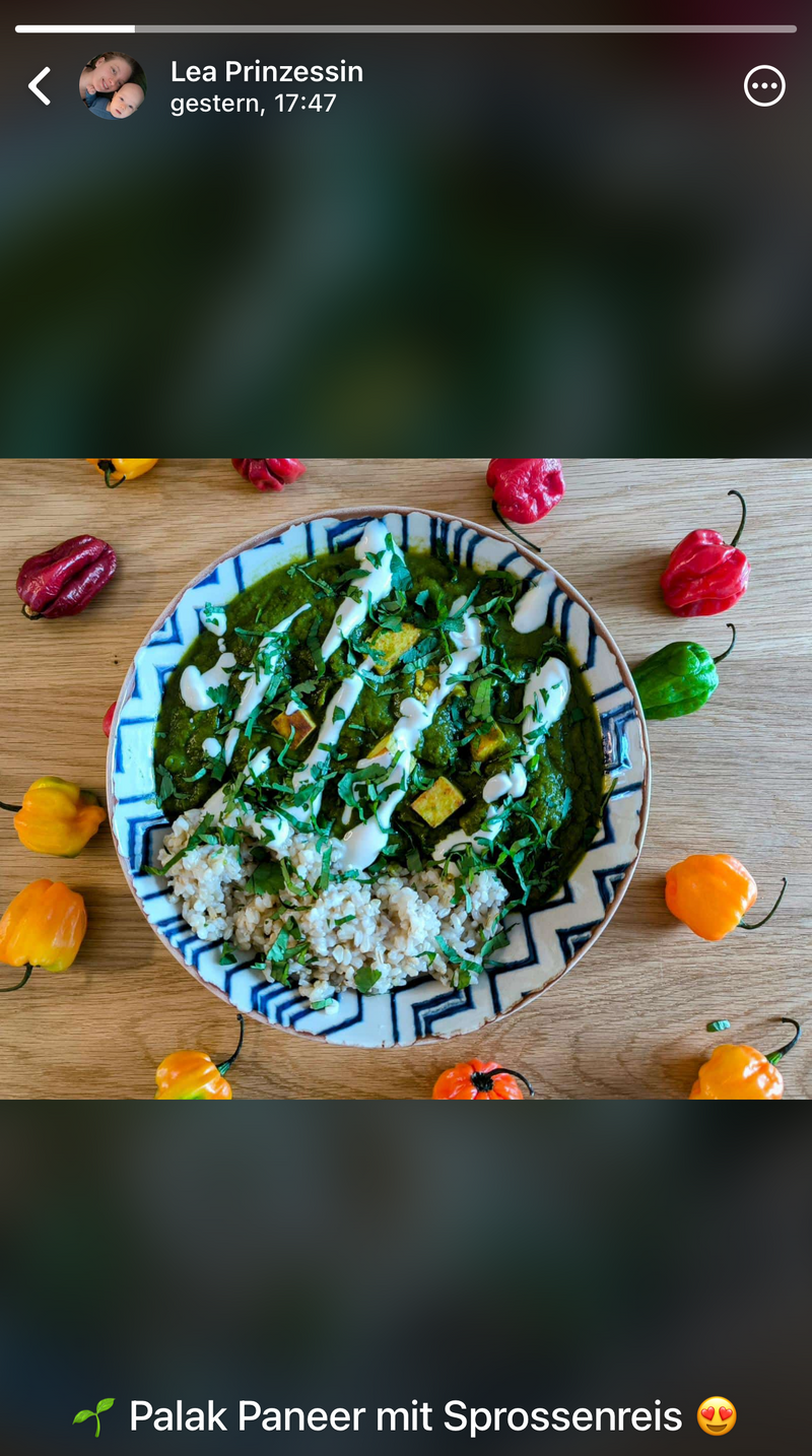 UGC AHO Reis Palak Paneer